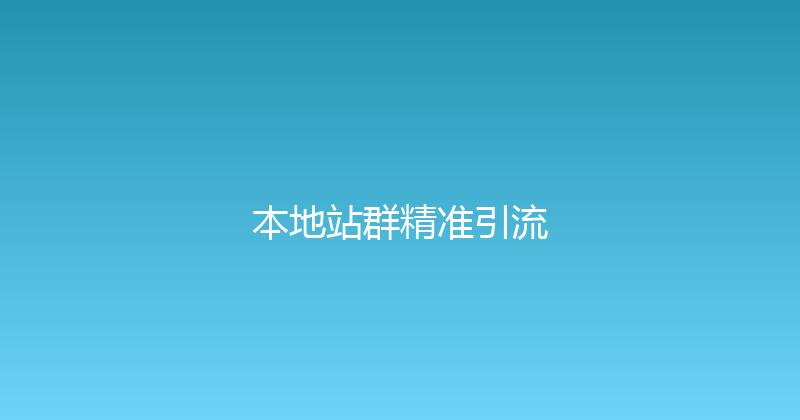 本地站群精准引流 封面图
