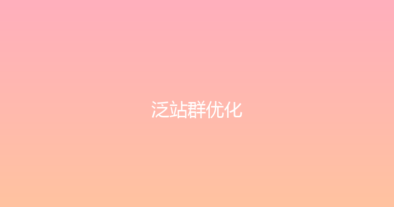 泛站群优化 封面图