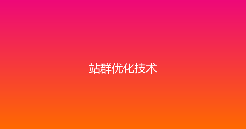 站群优化技术 封面图