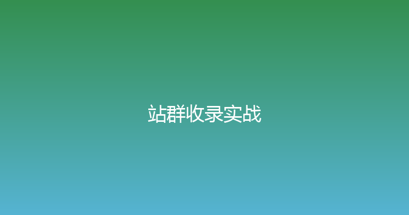站群收录实战 封面图
